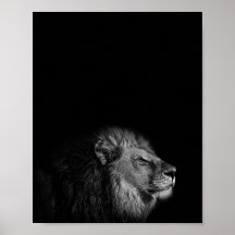 Le Roi, Lion, photo noir et blanc