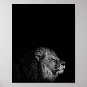 Affiche Le Roi, Lion, photo noir et blanc