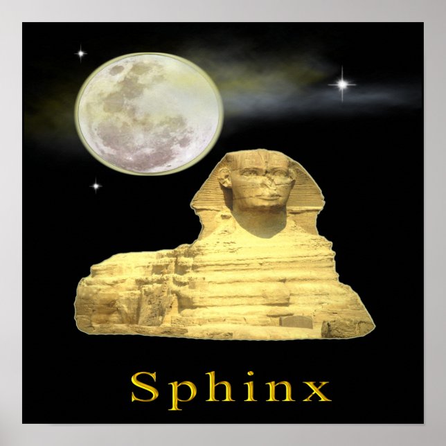 Affiche Le roi Tut et l'Egypte (Devant)