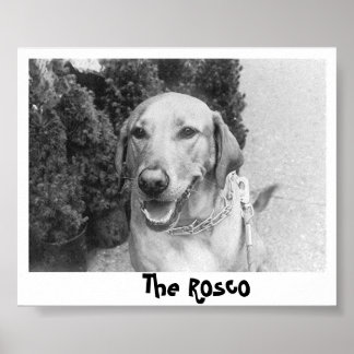Affiche Le Rosco