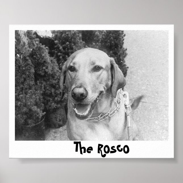 Affiche Le Rosco (Devant)