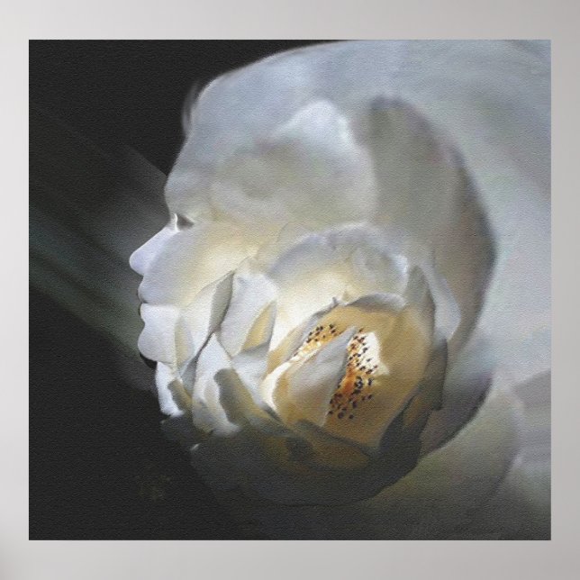 Affiche Le Rose (Devant)