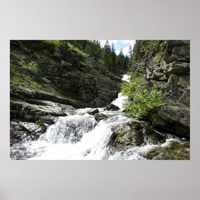Affiche Le ruisseau Aster dans le parc national Glacier (Devant)