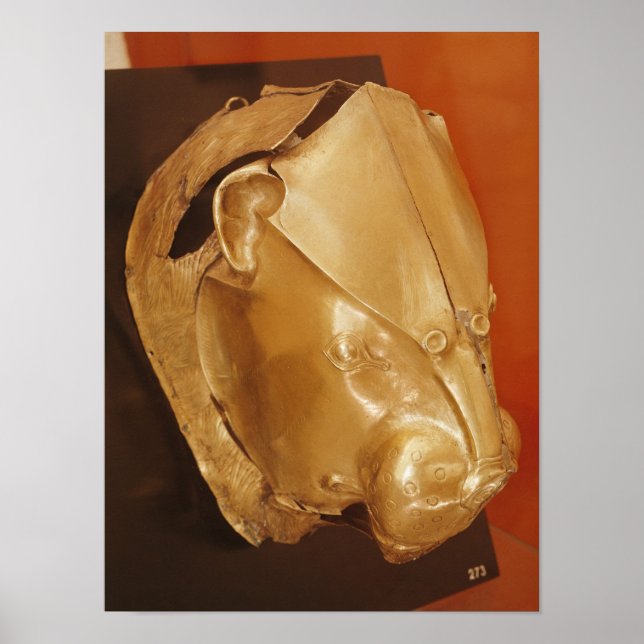 Affiche Le rythme de tête de Lion (Devant)