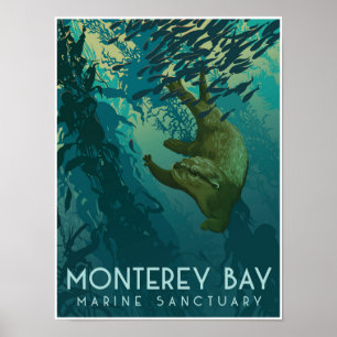Affiche Le sanctuaire marin de Monterey Bay ; Otter