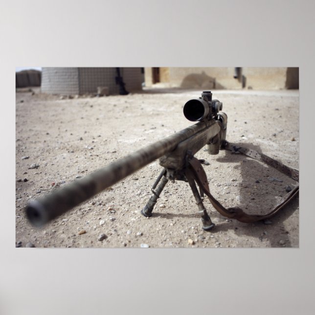 Affiche Le Schmidt & Bender M-854155 DS (Devant)