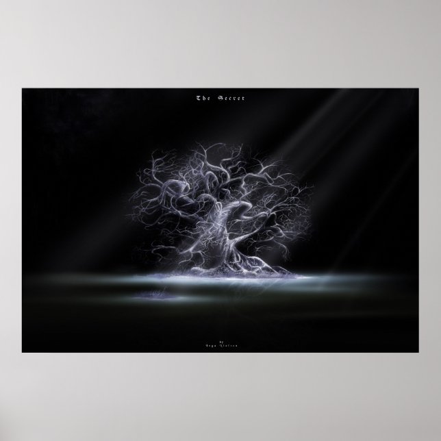 Affiche Le secret 2 (Devant)