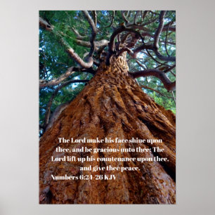 Affiche Le Seigneur fait briller son visage, levant