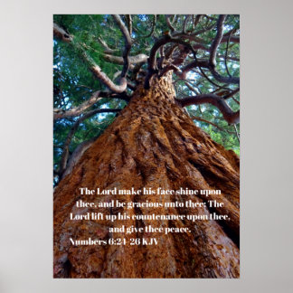 Affiche Le Seigneur fait briller son visage, levant