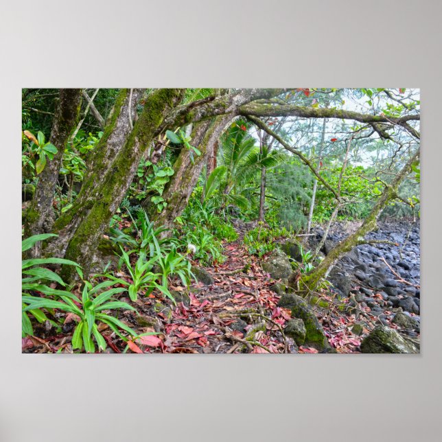 Affiche Le sentier de Kalalau, la côte de Napali, Kauai, H (Devant)
