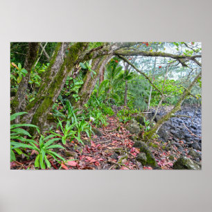 Affiche Le sentier Kalalau, côte Napali, Kauai, Hawaï