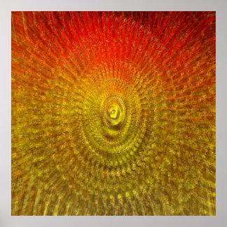 Affiche Le soleil explose....