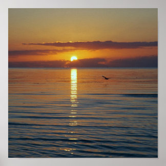 Affiche Le soleil se lèvera
