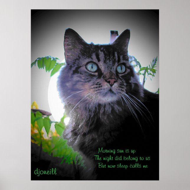 Affiche Le sommeil m'appelle (Devant)