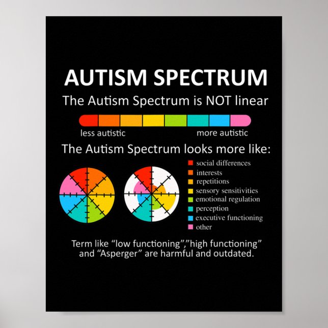 Affiche Le Spectre N'Est Pas Linéaire Autiste Fierté Autis (Devant)