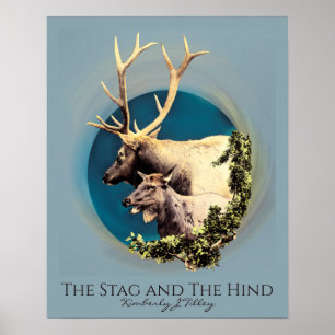 Affiche Le Stag et l'Arrière