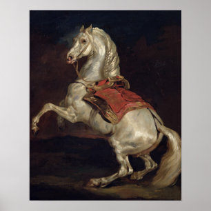 Affiche Le Stallion de Napoléon, Tamerlan