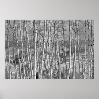 Affiche Le stand en blanc