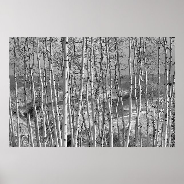 Affiche Le stand en blanc (Devant)