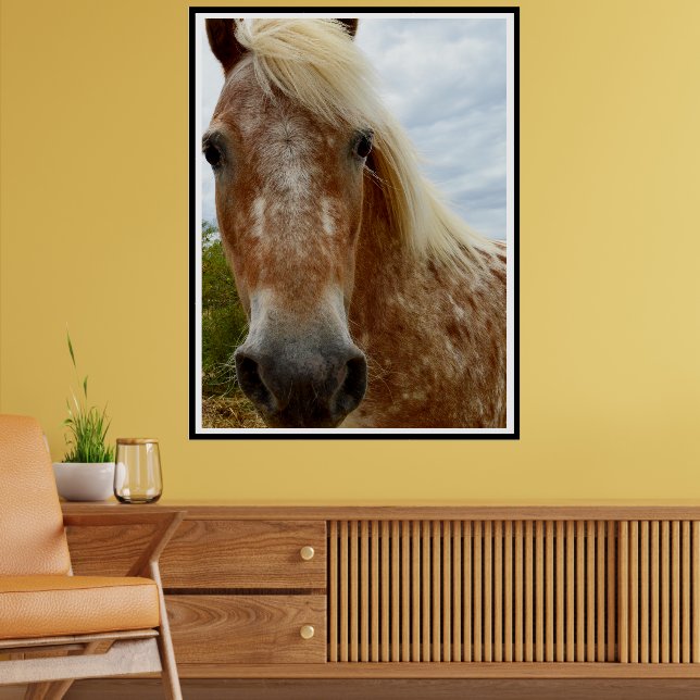Affiche "Le sucre : la grâce de l'Appaloosa" (Salon 2)
