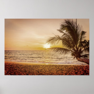 Affiche Le Sunset Coconut Palm sur la plage