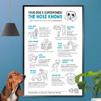 Affiche Le super-pouvoir de votre chien - Le nez sait 