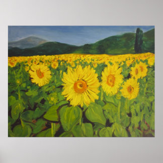 Affiche Le terrain de tournesol