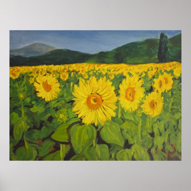 Affiche Le terrain de tournesol (Devant)