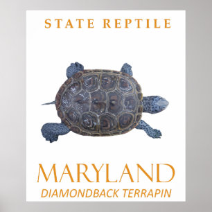 Affiche Le Territoire Du Maryland Reptile La tortue d'eau 