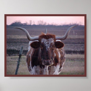 Affiche Le Texas Longhorn