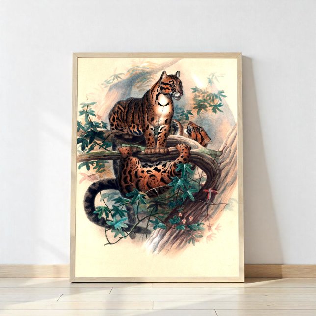 Affiche Le Tigre Cloudé (Créateur téléchargé)