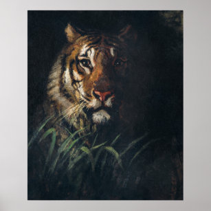 Affiche Le tigre de Thayer