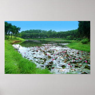 Affiche Le toucher de la nature