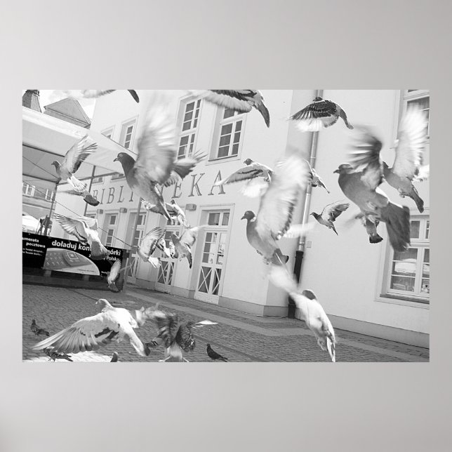 Affiche Le troupeau (Devant)