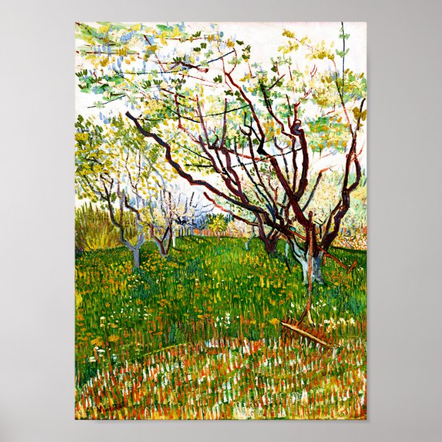 Affiche Le verger à fleurs (1888) par Vincent Van Gogh (Devant)