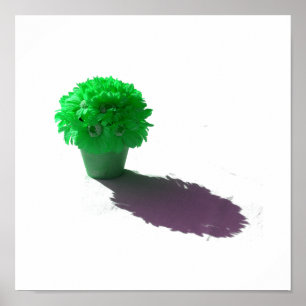 Affiche Le vert fleurit le seau et l'ombre blancs