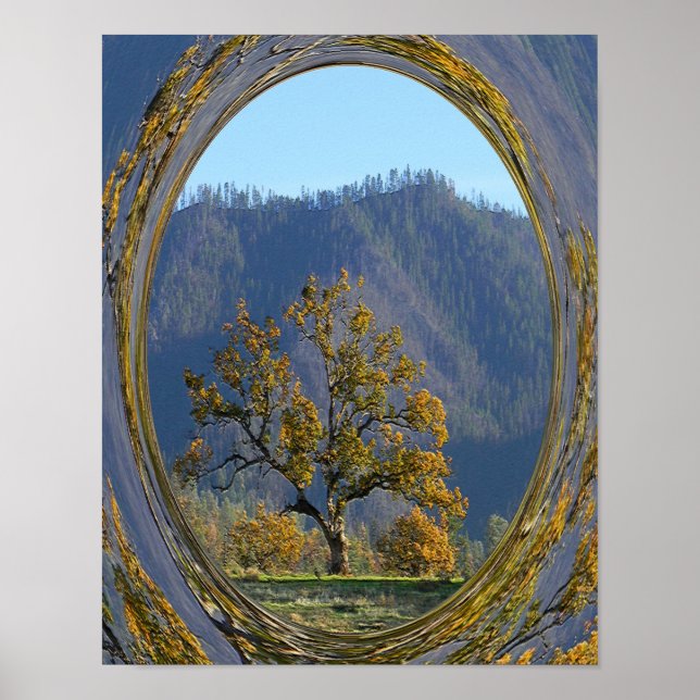 Affiche Le vieux chêne..... (Devant)