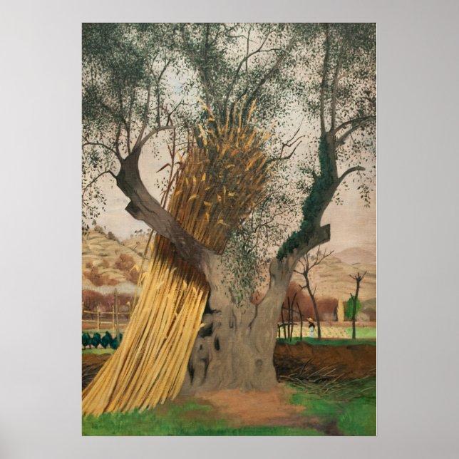 AFFICHE LE VIEUX OLIVE TREE (Devant)