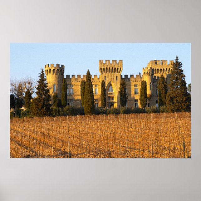Affiche Le vignoble aux pins sylvestres et le château (Devant)