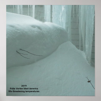 AFFICHE LE VORTEX POLAIRE ATTEINT L'AMÉRIQUE 2019