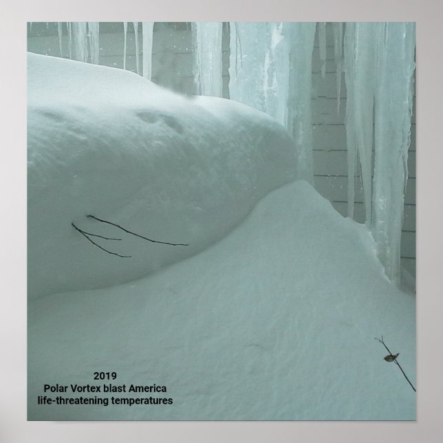 AFFICHE LE VORTEX POLAIRE ATTEINT L'AMÉRIQUE 2019 (Devant)