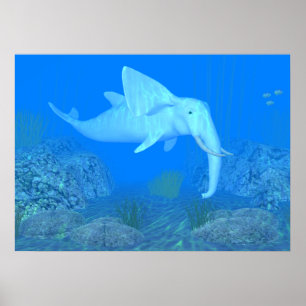 Affiche Le Whalphant adorable