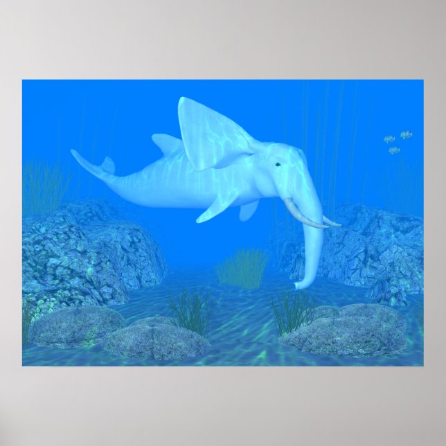 Affiche Le Whalphant adorable (Devant)