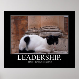 Affiche Leadership Cat Artwork
