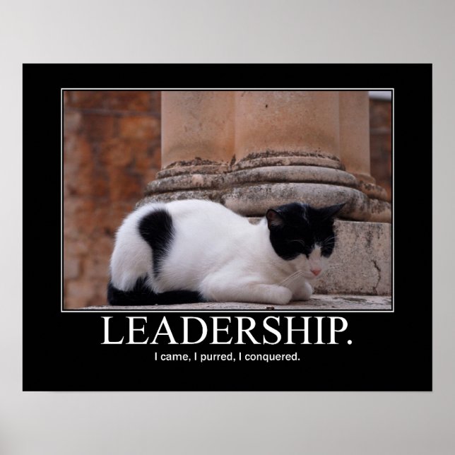Affiche Leadership Cat Artwork (Devant)