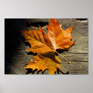Affiche Leaf automne