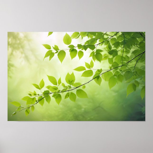 Affiche Leaf Close-up Calm Tranquil Nature Season (Devant)