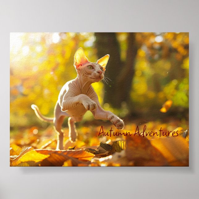 Affiche Leap d'automne : Chat Sphynx Joueur (Devant)