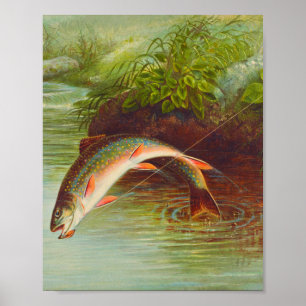 Affiche Leaping Brook Trout fish vintage illustrated