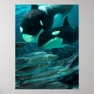 Affiche Learning to hunt macman